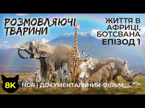 Видео: Тварини розповідають про життя в Африці - Дикі мешканці Ботсвани - Навчальний фільм 8K HDR - #1