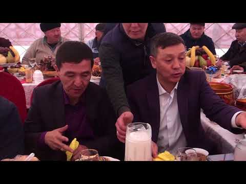 Видео: Максат мырзанын кокпары. Часть-1 Туркистан