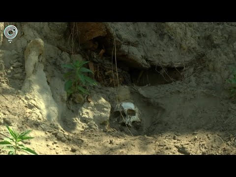 Видео: Древнее кладбище размыло под Новосибирском
