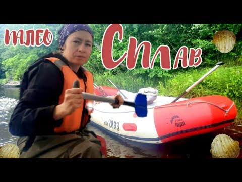 Видео: ПалеоСплав по реке Мста. Окаменелости Новгородской области нижнего карбона.