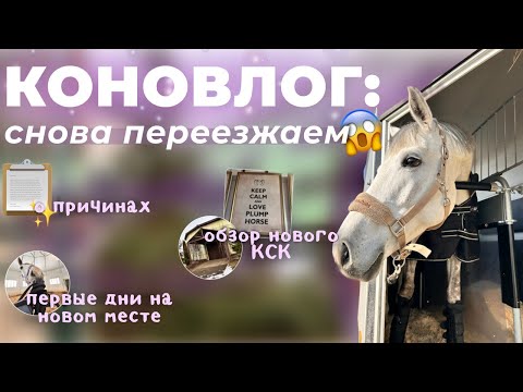 Видео: КОНОВЛОГ: опять ПЕРЕЕЗД 🫠