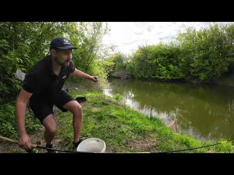Видео: Моя перша рибалка на річці Стир в 2025 році