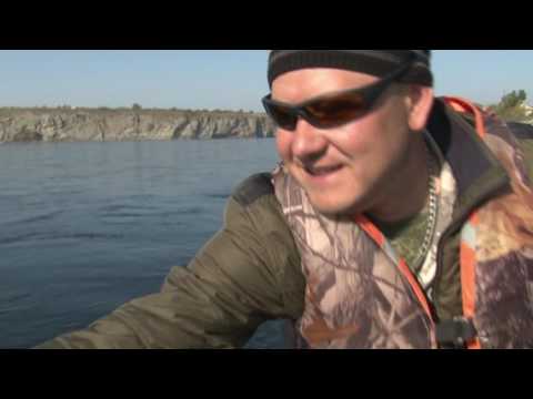 Видео: Енисейский хариус в сентябре. Часть 1