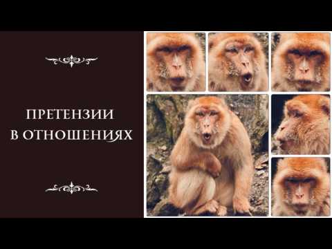 Видео: Претензии в отношениях