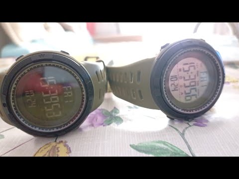 Видео: СТРИМЧАНСКИЙ О СРАВНЕНИИ SKMEI 1251