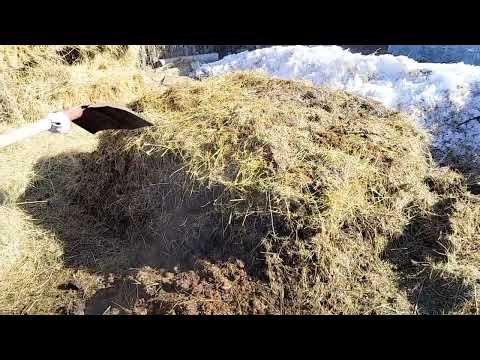 Видео: Компост жасау