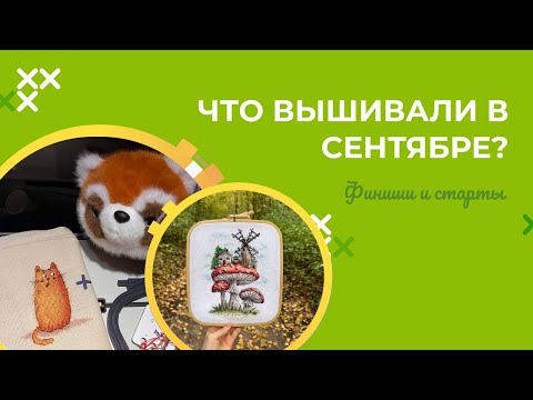 Видео: ВЫШИВКА ЗА СЕНТЯБРЬ! МАРИНА ВЫШИВАЕТ В КИТАЕ. СТАРТЫ, ФИНИШИ, ПРОЦЕССЫ.