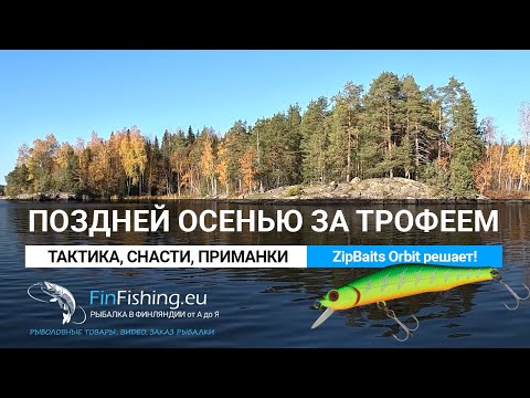 Видео: Поздней осенью за трофеем. Снасти, приманки, тактика. Или zipbaits orbit решает!