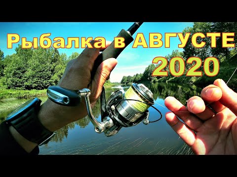 Видео: Рыбалка на реке Межа. Спиннинг в августе 2020
