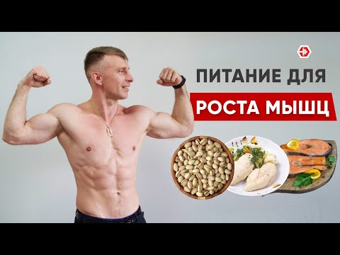 Видео: Как Набрать Вес? | Питание для Набора Мышечной массы