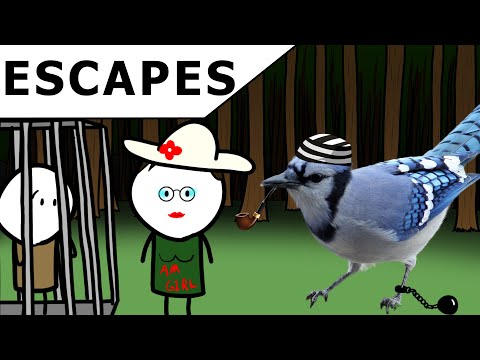 Видео: Коротко о загадочных побегах в истории