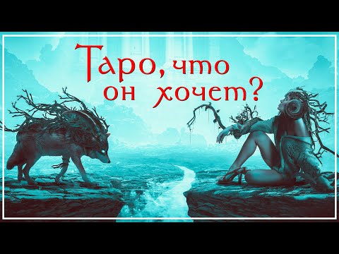 Видео: Как понять НАМЕРЕНИЯ мужчины в Таро / ОТКРОВЕННЫЙ ЭФИР #11
