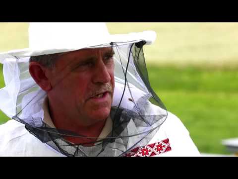 Видео: Пасечник №15 - Лечение народными методами