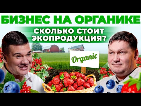 Видео: Бизнес на ягодах | Как выращивать и продавать органику? 20 гектар ягод | Андрей Даниленко