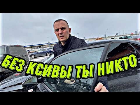Видео: Шизофреники ликуют весной