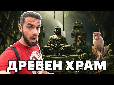 Видео: ХОТЕЛ В ДЖУНГЛАТА НА ШРИ ЛАНКА - МЪГЛА И ДРЕВЕН ХРАМ