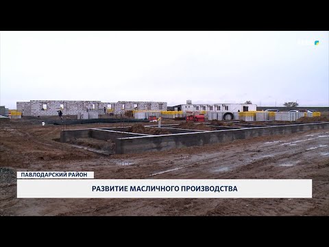Видео: Развитие масличного производства