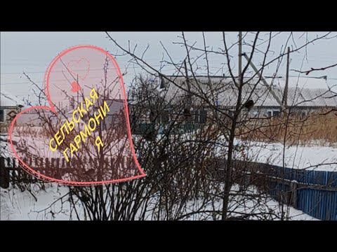 Видео: Первые росточки сибирской ели🤗выпекаю гату
