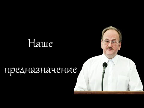 Видео: "Наше предназначение" Чухонцев В.Н.