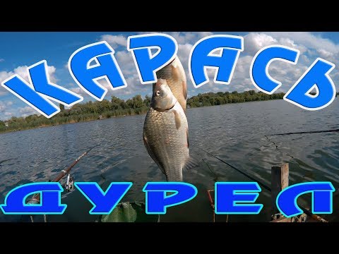 Видео: Ловля карася на мою мастырку. Карась просто дурел.