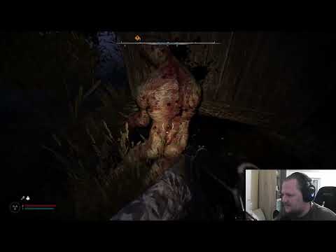 Видео: Ночное включение! Продолжаем Stalker 2!