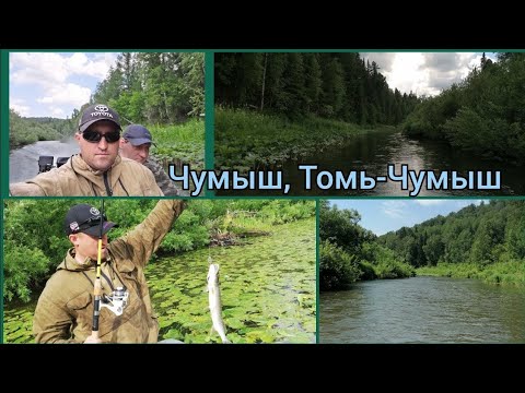 Видео: Путешествие в Салаирский Кряж. Реки Чумыш, Томь-Чумыш.