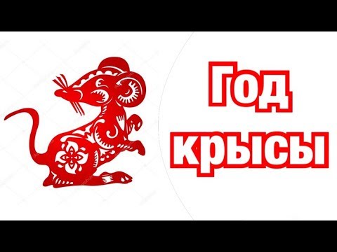 Видео: Год Крысы – описание и характеристика знака