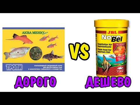 Видео: ДОРОГО VS ДЕШЕВО| КОРМ | СРАВНИВАЕМ ДОРОГОЙ КОРМ И ДЕШЕВЫЙ| JBL VS АкваМеню
