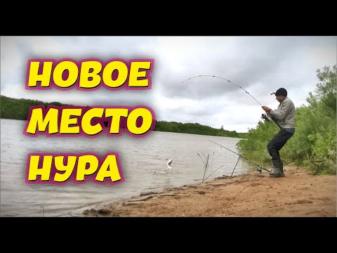 Видео: Новое место для рыбалки на Нуре  🐟 FishingBro