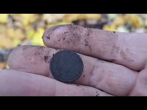 Видео: Копаем в  лесу вдоль дороги.Калининград..