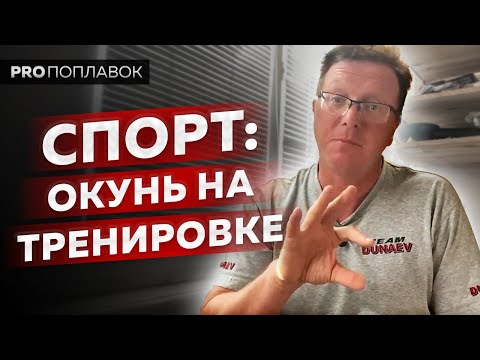 Видео: Ловля окуня в августе // Углич 2020.