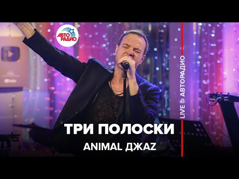 Видео: Animal ДжаZ - Три Полоски (LIVE @ Авторадио)