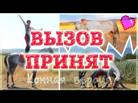 Видео: ВЫЗОВ ПРИНЯТ конная версия by Алиса и Медея