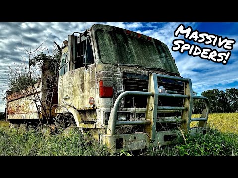 Видео: Заведётся ли он? Старый самосвал, простоявший ГОДЫ, полностью поглощённый ПРИРОДОЙ!