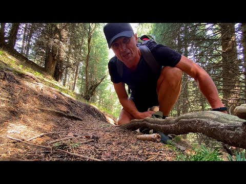 Видео: Ущелье ,,Ким-Асар". Заилийский Алатау.