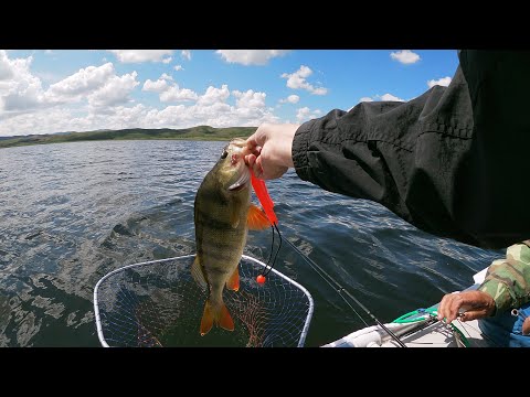 Видео: УДАЧНАЯ РЫБАЛКА !!!