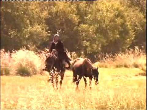 Видео: Ермұрат Зейіпханұлының әндері