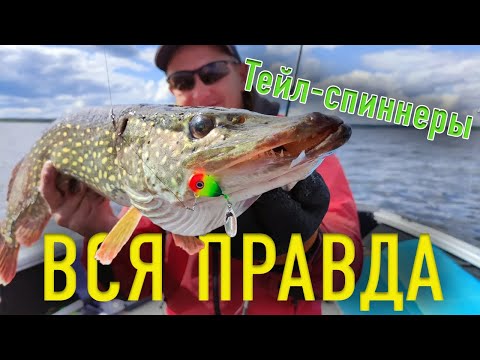Видео: ТЕЙЛ СПИННЕР вся ПРАВДА о приманке