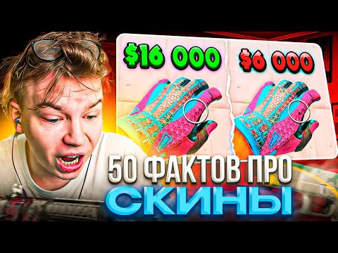 Видео: STROGO СМОТРИТ: 50 ФАКТОВ О СКИНАХ, КОТОРЫЕ ТЫ НЕ ЗНАЛ