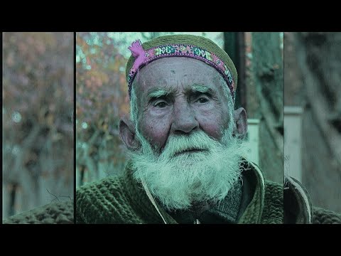 Видео: БОБ НАКЛИЕН ДАВОМ 2023