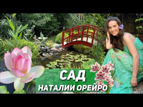 Видео: Mi Jardin. Natalia Oreiro/ Красивый Сад и Пруд НАТАЛИИ ОРЕЙРО. Жизнь за городом