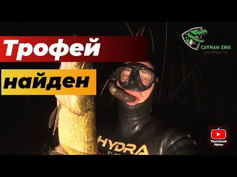 Видео: В поисках трофея #10 | Хищник найден |