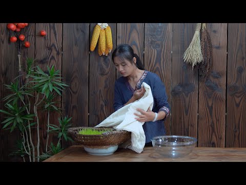 Видео: Превратим семена пшеницы в сахар! Это займет всего неделю!