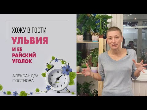 Видео: Когда тебя пригласили в гости, а ты сразу по цветам идешь)) Я в гостях и покажу вам зеленую красоту.