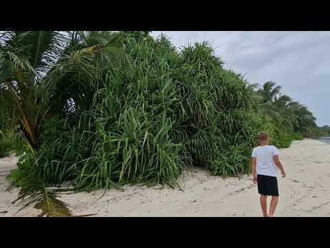 Видео: Попали в шторм! Остались на острове Гойду (Goidhoo). Maldives🇲🇻. Мальдивы ❤️