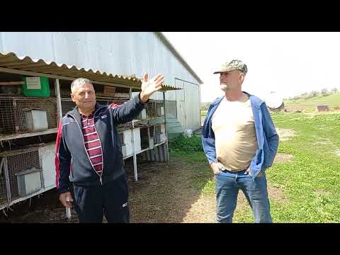 Видео: Коллекция племенных голубей Азии !!!