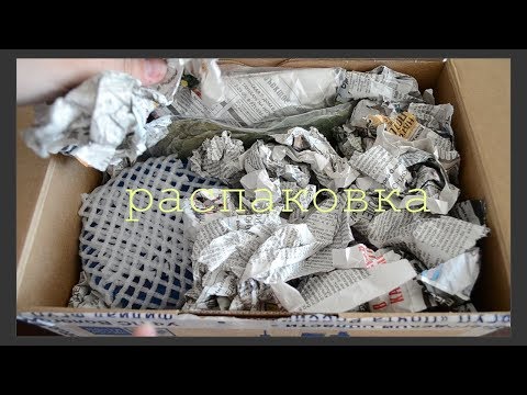 Видео: РАСПАКОВКА ПОСЫЛКИ ОТ ЗЛАТЫ