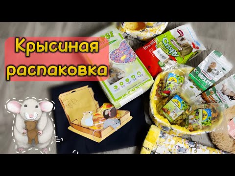 Видео: Обзор покупок с wildberries для крыс 🐀