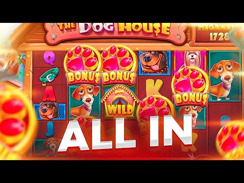 Видео: БОЛЬШЕ ЛЯМА ЗА ОДИН СПИН СИНИХ СОБАК ! НЕОЖИДАННО ПОШЁЛ ALL IN И..... В THE DOG HOUSE MULTIHOLD !!