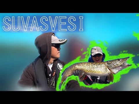 Видео: Трофейная рыбалка. Panoptix Livescope. Часть 1. Suvasvesi. Рыбалка в Финляндии